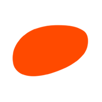 Wilpotte opticien Lille, forme colorée 4