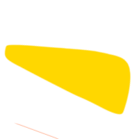 Wilpotte opticien Lille, forme colorée 5